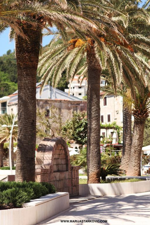 Studio Apartment Nika Andusa Petrovac Exterior photo